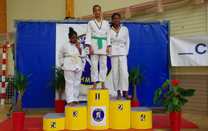 56003f4b1b0d0_55146662737c1TropheMoissy2015288.jpg