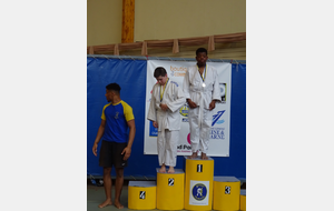 5ad91ae8edfae_judocompetmoissy260.JPG