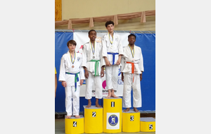 5ad91b68b9ac2_judocompetmoissy262.JPG