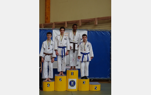 5ad91bd86f59c_judocompetmoissy264.JPG