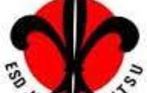 Tournoi de Dammarie Les Lys