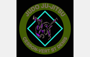 Tournoi de Cesson-Vert Saint Denis