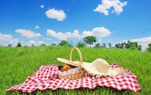 Fête de fin d'année = Pique-Nique