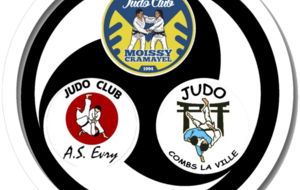 Stage Judo Multisports Benjamins