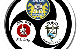 Stage Judo Multisport Minime / Cadet / Junior 2022