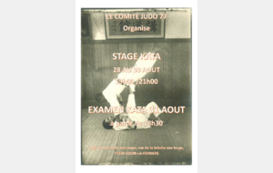 STAGE + EXAMEN KATA et UV2